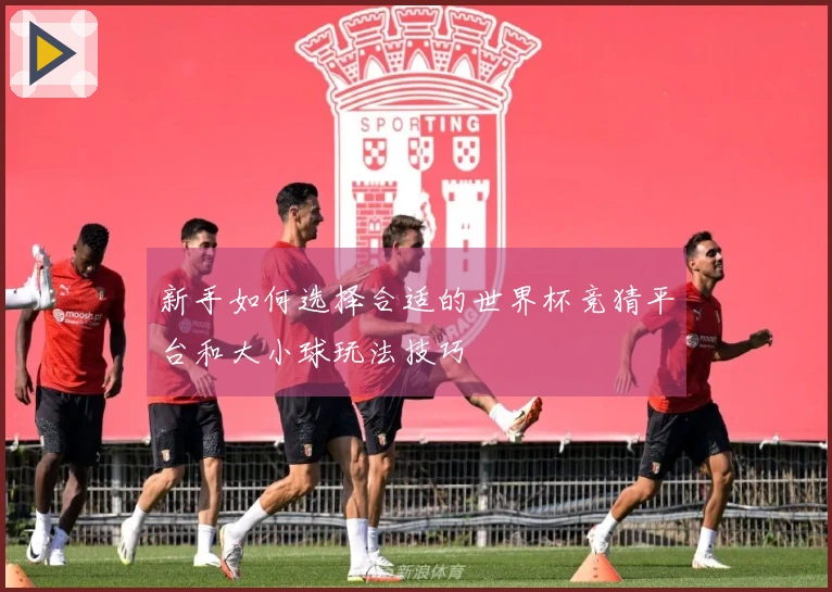 新手如何选择合适的世界杯竞猜平台和大小球玩法技巧