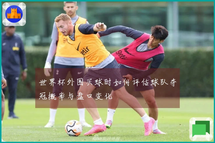 世界杯外围买球时如何评估球队夺冠概率与盘口变化