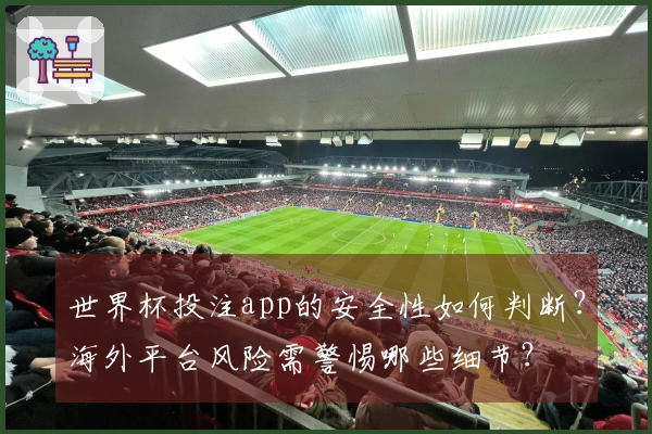 世界杯投注app的安全性如何判断？海外平台风险需警惕哪些细节？