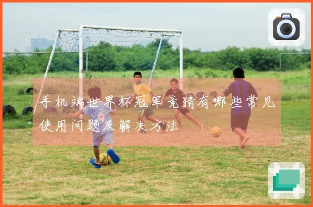 手机端世界杯冠军竞猜有哪些常见使用问题及解决方法
