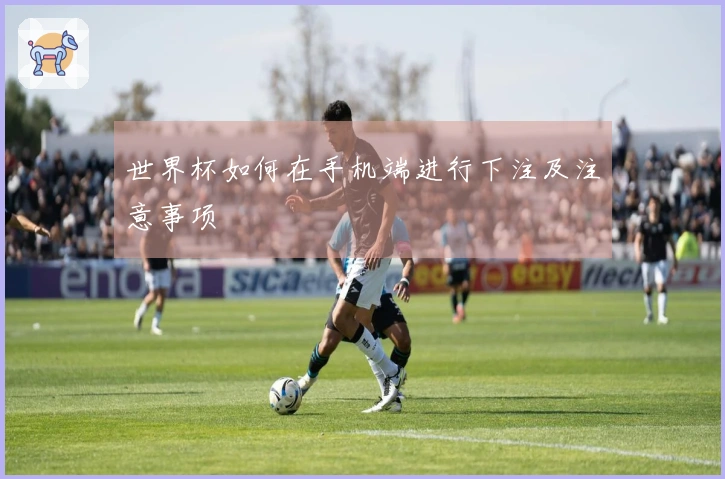 世界杯如何在手机端进行下注及注意事项