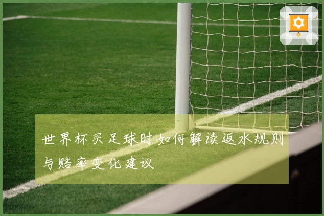 世界杯买足球时如何解读返水规则与赔率变化建议