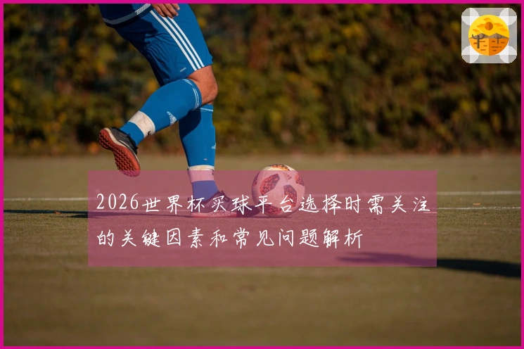 2026世界杯买球平台选择时需关注的关键因素和常见问题解析