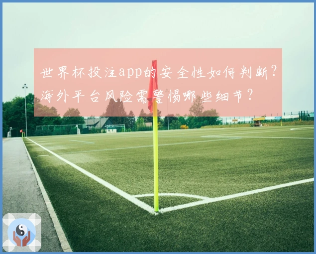 世界杯投注app的安全性如何判断？海外平台风险需警惕哪些细节？