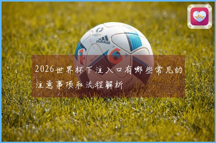 2026世界杯下注入口有哪些常见的注意事项和流程解析
