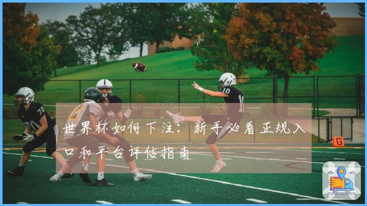 世界杯如何下注：新手必看正规入口和平台评估指南