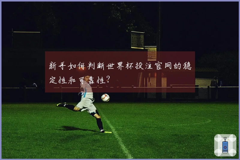 新手如何判断世界杯投注官网的稳定性和可靠性？