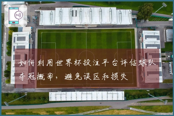如何利用世界杯投注平台评估球队夺冠概率，避免误区和损失