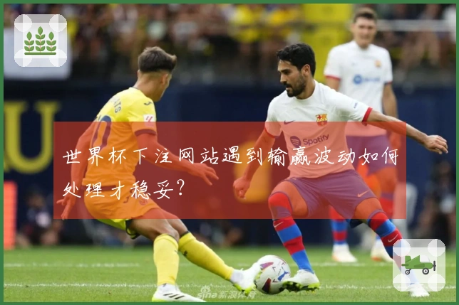 世界杯下注网站遇到输赢波动如何处理才稳妥？