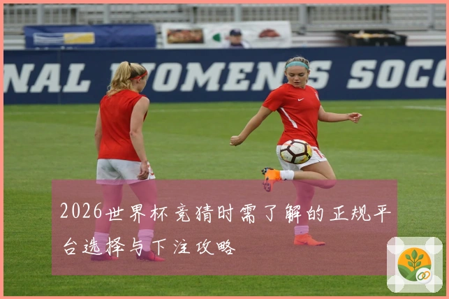 2026世界杯竞猜时需了解的正规平台选择与下注攻略