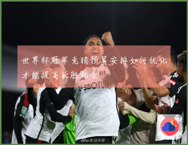 世界杯冠军竞猜预算安排如何优化才能提高获胜机会