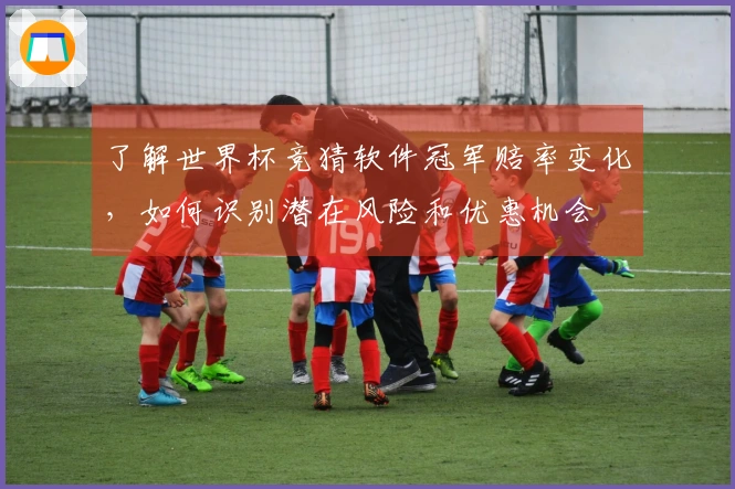了解世界杯竞猜软件冠军赔率变化，如何识别潜在风险和优惠机会