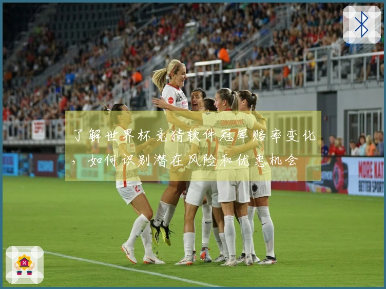 了解世界杯竞猜软件冠军赔率变化，如何识别潜在风险和优惠机会