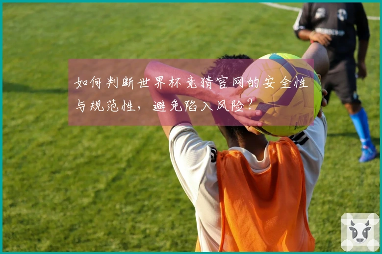 如何判断世界杯竞猜官网的安全性与规范性，避免陷入风险？