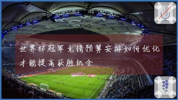 世界杯冠军竞猜预算安排如何优化才能提高获胜机会